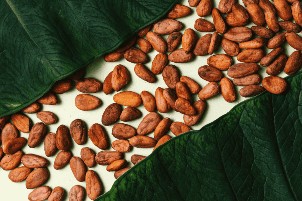 Cacao bonen